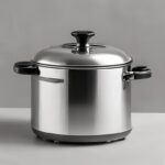 6 quart stainless steel pressure cooker